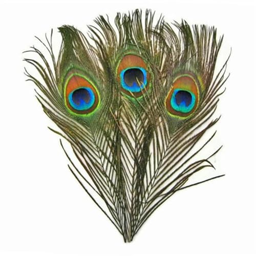 HKSDKABOP Handwerksdekoration mit Federn, Packung mit 20 Pfauenfedern, Mehrfarbig(Natural) von HKSDKABOP