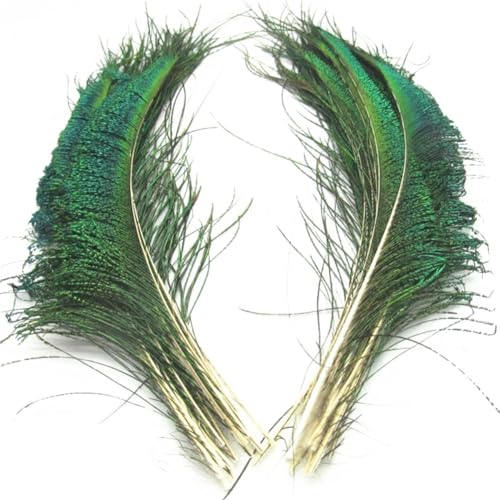 HKSDKABOP Handwerksdekoration mit Federn, Packung mit 20 Pfauenfedern, Mehrfarbig(Natural) von HKSDKABOP