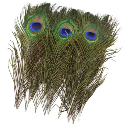 HKSDKABOP Handwerksdekoration mit Federn, Packung mit 20 Pfauenfedern, Mehrfarbig(Natural Peacock) von HKSDKABOP