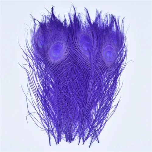 HKSDKABOP Handwerksdekoration mit Federn, Packung mit 20 Pfauenfedern, Mehrfarbig(Purple) von HKSDKABOP