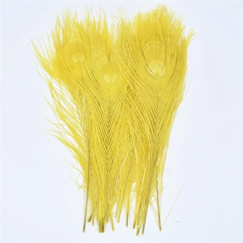 HKSDKABOP Handwerksdekoration mit Federn, Packung mit 20 Pfauenfedern, Mehrfarbig(Yellow) von HKSDKABOP