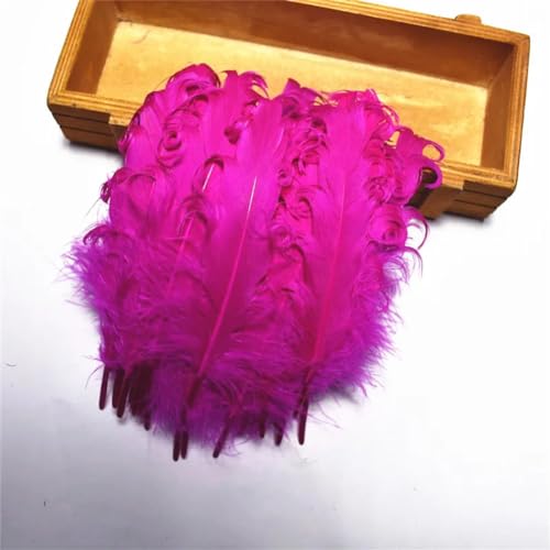 HKSDKABOP Handwerksdekoration mit Federn, Packung mit 20 Spire Gans Federn Multicolor 10-15cm DIY Handwerk Hochzeit Party Decor(Rose) von HKSDKABOP