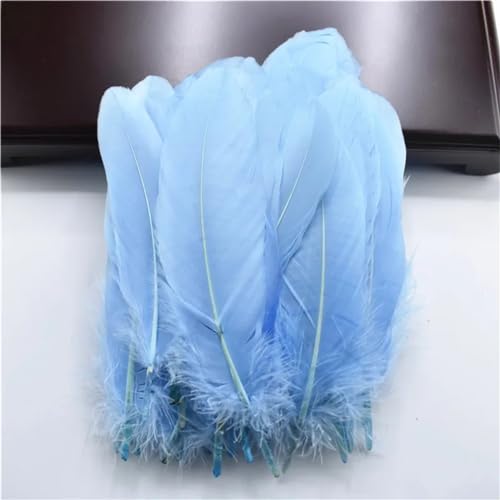 HKSDKABOP Handwerksdekoration mit Federn, Packung mit 20 natürlichen Gänsefedern, DIY-Dekoration, Mehrfarbig, 12,7–18,3 cm(Light Blue) von HKSDKABOP