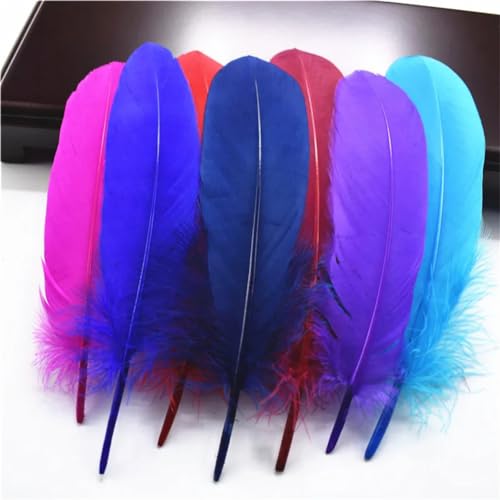 HKSDKABOP Handwerksdekoration mit Federn, Packung mit 20 natürlichen Gänsefedern, DIY-Dekoration, Mehrfarbig, 12,7–18,3 cm(Mixed Color) von HKSDKABOP