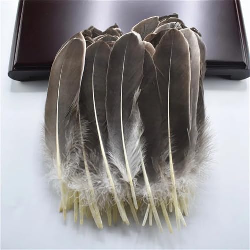 HKSDKABOP Handwerksdekoration mit Federn, Packung mit 20 natürlichen Gänsefedern, DIY-Dekoration, Mehrfarbig, 12,7–18,3 cm(Natural Color) von HKSDKABOP