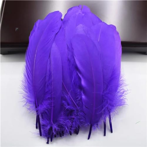 HKSDKABOP Handwerksdekoration mit Federn, Packung mit 20 natürlichen Gänsefedern, DIY-Dekoration, Mehrfarbig, 12,7–18,3 cm(Purple) von HKSDKABOP