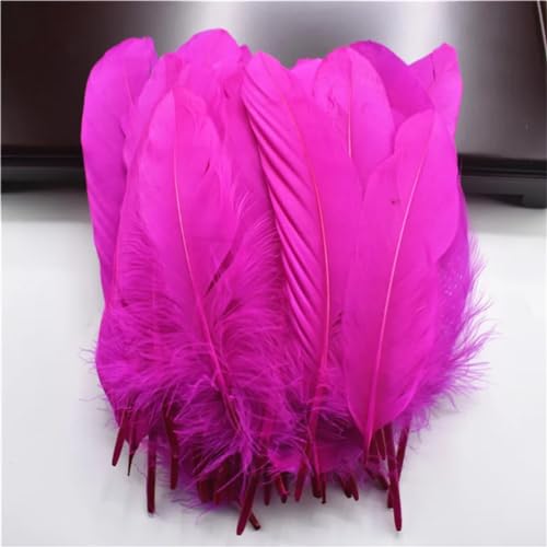 HKSDKABOP Handwerksdekoration mit Federn, Packung mit 20 natürlichen Gänsefedern, DIY-Dekoration, Mehrfarbig, 12,7–18,3 cm(Rose) von HKSDKABOP