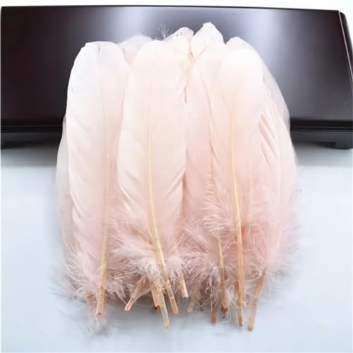 HKSDKABOP Handwerksdekoration mit Federn, Packung mit 20 natürlichen Gänsefedern, DIY-Dekoration, Mehrfarbig, 12,7–18,3 cm(Shell Pink) von HKSDKABOP