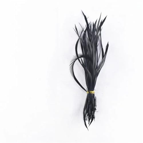 HKSDKABOP Handwerksdekoration mit Federn, Packung mit 20 schwarzen Fasanenfedern, Entenfedern, Straußenfedern, Truthahnfedern, Gänsefedern for Fliegenbinden von Traumfängern(15-20cm 6-8inch3) von HKSDKABOP