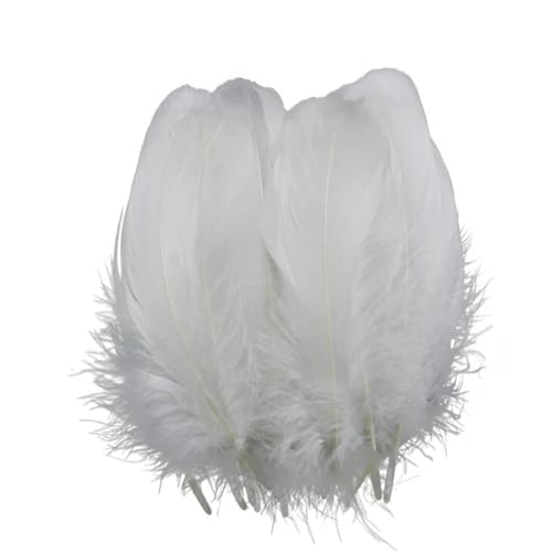 HKSDKABOP Handwerksdekoration mit Federn, Packung mit 20 weißen Fasanen-, Enten-, Straußen-, Truthahn- und Gänsefedern for DIY-Partydekoration(15-20cm 6-8inch) von HKSDKABOP