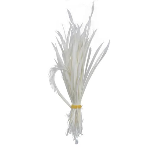 HKSDKABOP Handwerksdekoration mit Federn, Packung mit 20 weißen Fasanen-, Enten-, Straußen-, Truthahn- und Gänsefedern for DIY-Partydekoration(15-20cm 6-8inch3) von HKSDKABOP