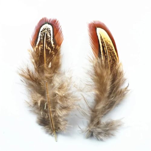 HKSDKABOP Handwerksdekoration mit Federn, Ringfasanenfedern Multicolor 3-7 cm 20er Packung(Natural,500 Piece) von HKSDKABOP