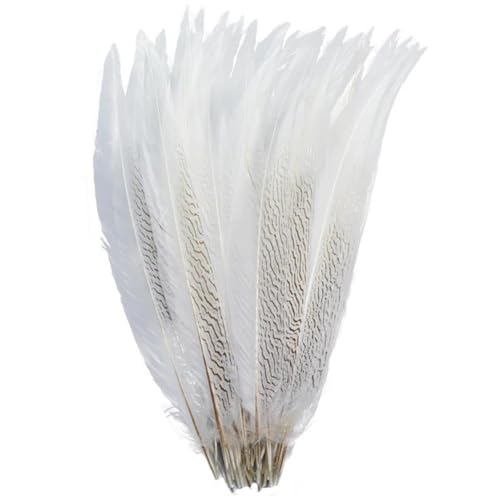 HKSDKABOP Handwerksdekoration mit Federn, Silberfasanenschwanzfedern, naturweiß, 12–32 Zoll, 10 Stück(50-55cm 20-22inch) von HKSDKABOP