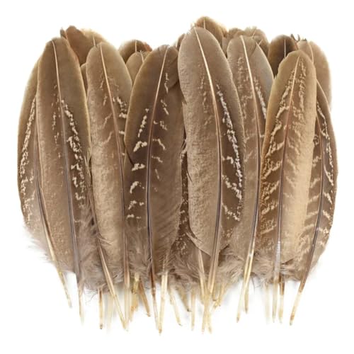 HKSDKABOP Handwerksdekoration mit Federn, Verschiedene Naturfedern for Basteln, Mehrfarbig, 3–18 cm, Packung(Size 10-15CM,500 Piece) von HKSDKABOP