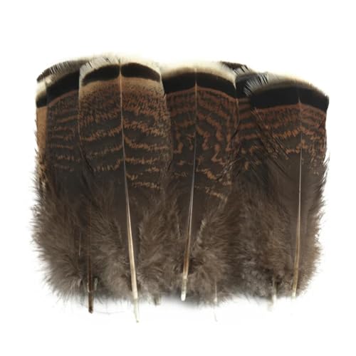 HKSDKABOP Handwerksdekoration mit Federn, Verschiedene Naturfedern for Basteln, Mehrfarbig, 3–18 cm, Packung(Size 10-15cm4,100 Piece) von HKSDKABOP