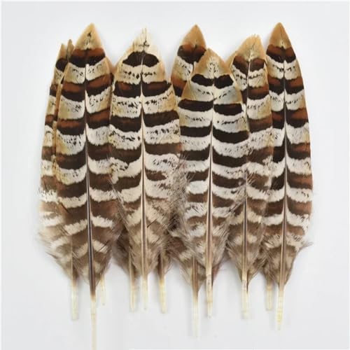 HKSDKABOP Handwerksdekoration mit Federn, Verschiedene Naturfedern for Basteln, Mehrfarbig, 3–18 cm, Packung(Size 10-15cm5,20 Piece) von HKSDKABOP