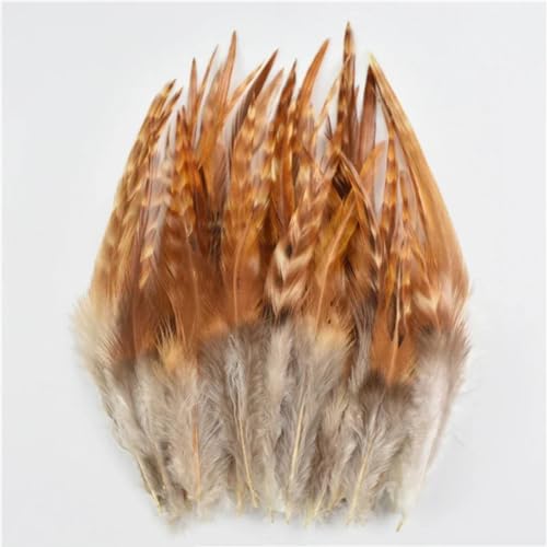 HKSDKABOP Handwerksdekoration mit Federn, Verschiedene Naturfedern for Basteln, Mehrfarbig, 3–18 cm, Packung(Size 10-15cm7,500 Piece) von HKSDKABOP