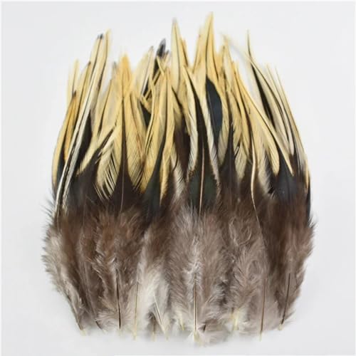 HKSDKABOP Handwerksdekoration mit Federn, Verschiedene Naturfedern for Basteln, Mehrfarbig, 3–18 cm, Packung(Size 10-15cm8,500 Piece) von HKSDKABOP