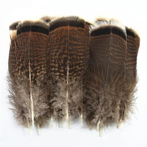 HKSDKABOP Handwerksdekoration mit Federn, Verschiedene Naturfedern for Basteln, Mehrfarbig, 3–18 cm, Packung(Size 12-18cm,500 Piece) von HKSDKABOP