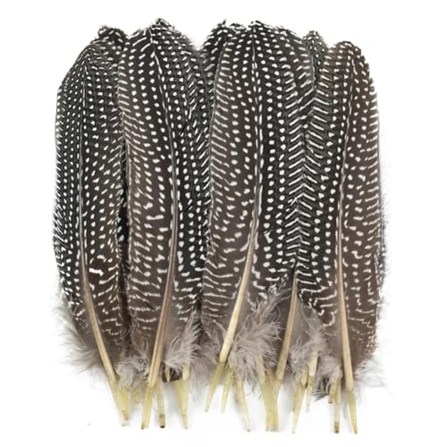 HKSDKABOP Handwerksdekoration mit Federn, Verschiedene Naturfedern for Basteln, Mehrfarbig, 3–18 cm, Packung(Size 12-18cm1,20 Piece) von HKSDKABOP