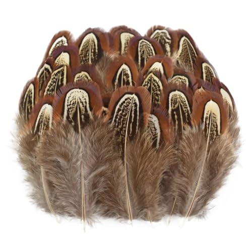 HKSDKABOP Handwerksdekoration mit Federn, Verschiedene Naturfedern for Basteln, Mehrfarbig, 3–18 cm, Packung(Size 3-7cm,50 Piece) von HKSDKABOP
