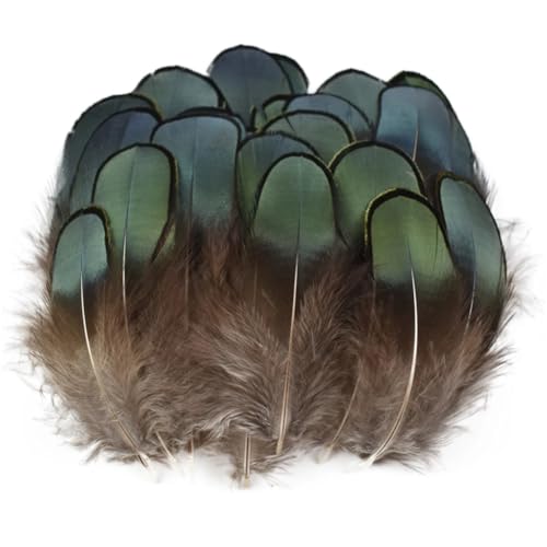 HKSDKABOP Handwerksdekoration mit Federn, Verschiedene Naturfedern for Basteln, Mehrfarbig, 3–18 cm, Packung(Size 3-7cm1,100 Piece) von HKSDKABOP
