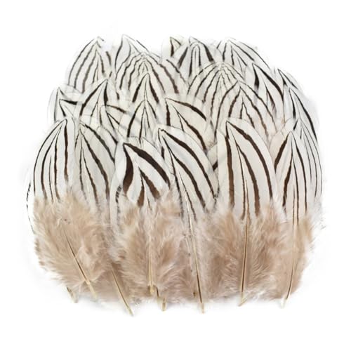 HKSDKABOP Handwerksdekoration mit Federn, Verschiedene Naturfedern for Basteln, Mehrfarbig, 3–18 cm, Packung(Size 3-7cm12,500 Piece) von HKSDKABOP
