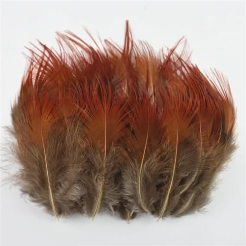 HKSDKABOP Handwerksdekoration mit Federn, Verschiedene Naturfedern for Basteln, Mehrfarbig, 3–18 cm, Packung(Size 3-7cm13,20 Piece) von HKSDKABOP