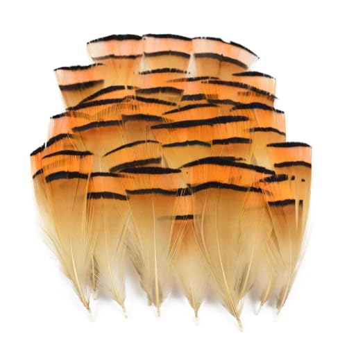 HKSDKABOP Handwerksdekoration mit Federn, Verschiedene Naturfedern for Basteln, Mehrfarbig, 3–18 cm, Packung(Size 3-7cm6,20 Piece) von HKSDKABOP