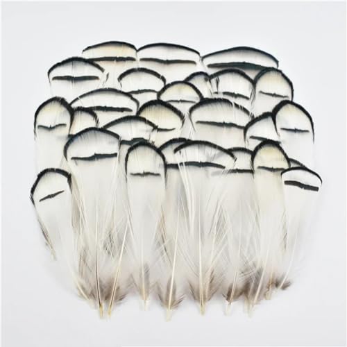 HKSDKABOP Handwerksdekoration mit Federn, Verschiedene Naturfedern for Basteln, Mehrfarbig, 3–18 cm, Packung(Size 3-7cm7,500 Piece) von HKSDKABOP