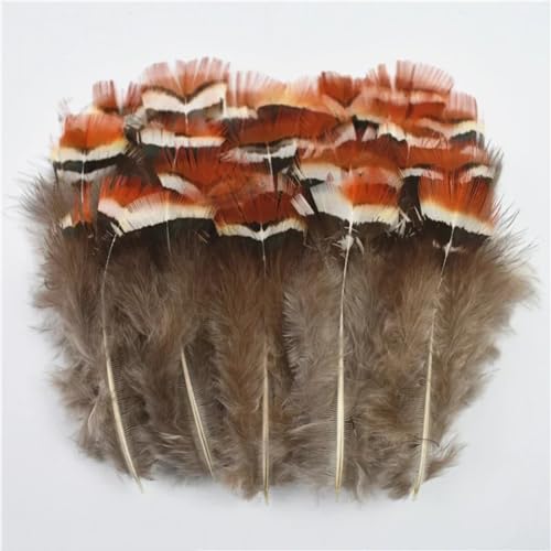 HKSDKABOP Handwerksdekoration mit Federn, Verschiedene Naturfedern for Basteln, Mehrfarbig, 3–18 cm, Packung(Size 3-7cm8,500 Piece) von HKSDKABOP
