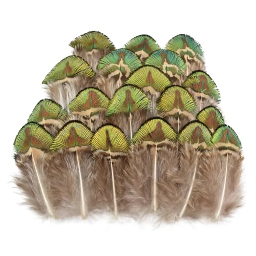 HKSDKABOP Handwerksdekoration mit Federn, Verschiedene Naturfedern for Basteln, Mehrfarbig, 3–18 cm, Packung(Size 3-7cm9,100 Piece) von HKSDKABOP