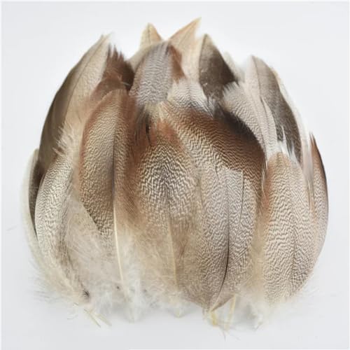 HKSDKABOP Handwerksdekoration mit Federn, Verschiedene Naturfedern for Basteln, Mehrfarbig, 3–18 cm, Packung(Size 4-8cm1,500 Piece) von HKSDKABOP