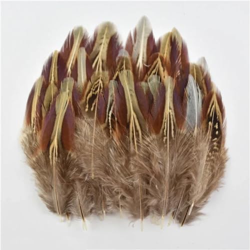 HKSDKABOP Handwerksdekoration mit Federn, Verschiedene Naturfedern for Basteln, Mehrfarbig, 3–18 cm, Packung(Size 4-8cm2,50 Piece) von HKSDKABOP