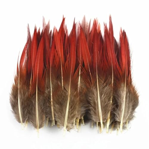 HKSDKABOP Handwerksdekoration mit Federn, Verschiedene Naturfedern for Basteln, Mehrfarbig, 3–18 cm, Packung(Size 5-10cm,20 Piece) von HKSDKABOP