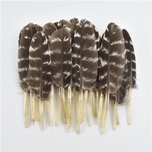 HKSDKABOP Handwerksdekoration mit Federn, Verschiedene Naturfedern for Basteln, Mehrfarbig, 3–18 cm, Packung(Size 6-10cm,100 Piece) von HKSDKABOP