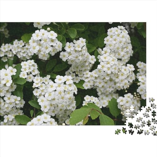 Pflanzen Holz 300 Teile Puzzles Blumen Puzzles Für Erwachsene Lernspiel Herausforderung Spielzeug 300 Teile Holzpuzzles Für Erwachsene 300pcs (40x28cm) von HMLTD