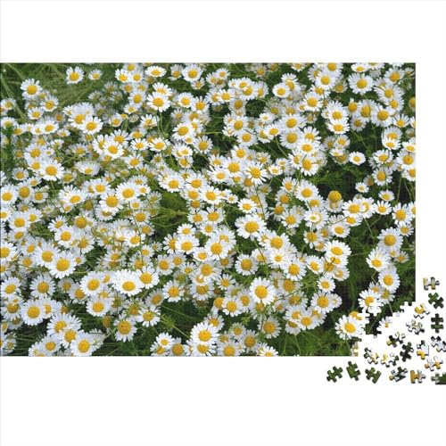 Pflanzen Holzpuzzle 1000 Teile Geschenke Für Frauen, Blumen Männer,Holzpuzzle Erwachsene 1000pcs (75x50cm) von HMLTD