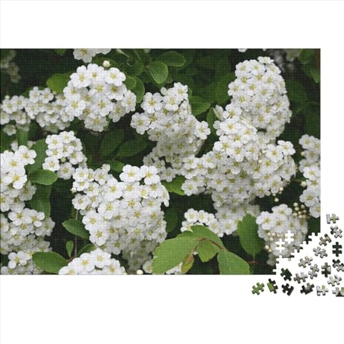 Pflanzen Puzzle 1000 Teile Erwachsene 1000 Teile Jigsaw Blumen Puzzles Für Wohnkultur Wandkunst 1000pcs (75x50cm) von HMLTD