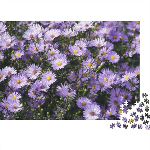 Pflanzen Puzzle 1000 Teile Klassische Puzzle Erwachsene Blumen Puzzle DIY Kit Holzspielzeug Einzigartiges Geschenk Moderne Wohnkultur 1000pcs (75x50cm) von HMLTD