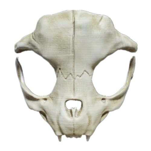 HMLZSJ White Beast Knochen Soldat Maske Cosplay Gruselige Halloween Maske Kopfbedeckung Maskerade für Party Teufel Cosplay Kostüm Requisiten Harz HMLZSJ White Beast Knochen Soldat Maske Cosplay Gruselige Halloween Maske Kopfbedeckung Maskerade für Party Teufel Cosplay Kostüm Requisiten Harz von HMLZSJ