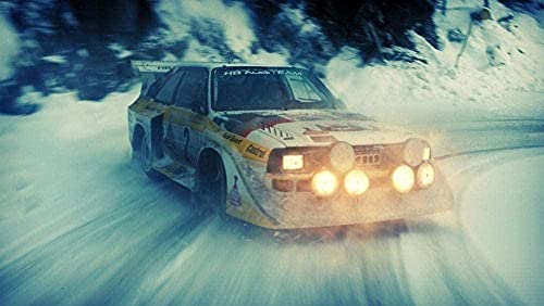 1000-teiliges Puzzle Rallyeauto Puzzle für Erwachsene und Kinder, Weihnachts- und Geburtstagsgeschenk, Spielgeschenk, 38x52cm von HNBDE