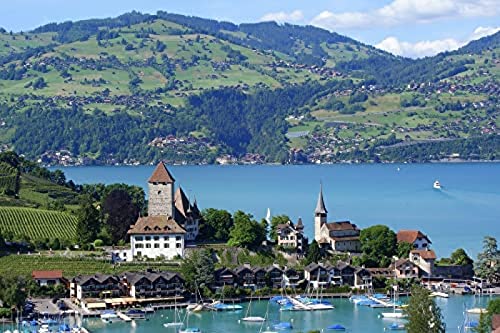 1000-teiliges Puzzle für Erwachsene, Interlaken, Schweiz, Denksport-Puzzle für Kinder, Lernspiele,Perfekt für Kinder, Lernspiele, Unterhaltung, GIF 1000-teiliges Puzzle für Erwachsene, Interlaken, Schweiz, Denksport-Puzzle für Kinder, Lernspiele,Perfekt für Kinder, Lernspiele, Unterhaltung, GIF von HNBDE