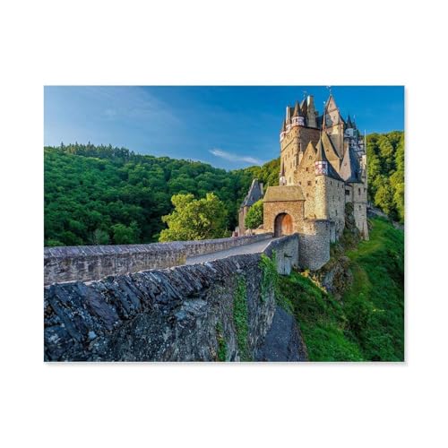 Château d'Eltz, Puzzle en Papier, Lot de 1500, Jouets Pour adultes, Jeu de décompression, E57x87cmJ119 Château d'Eltz, Puzzle en Papier, Lot de 1500, Jouets Pour adultes, Jeu de décompression, E57x87cmJ119 von HNBDE
