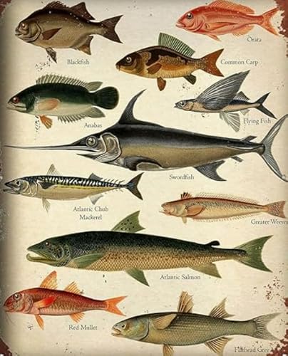 Puzzle 1000 Teile Fischkunst-Poster Puzzle für Erwachsene Lernspiel Familiendekompressionsspielzeug26x38cm Puzzle 1000 Teile Fischkunst-Poster Puzzle für Erwachsene Lernspiel Familiendekompressionsspielzeug26x38cm von HNBDE