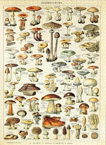 Puzzle 1000 Teile Retro Pflanzen Pilze Kunst Poster Dekompressionsspiel Für Erwachsene Spielzeug Qz576Yk von HNBDE