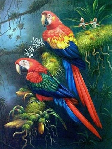 Puzzle 1000 Teile Tiervögel Poster für Erwachsene Familien Puzzle Spielzeug Dekompressionsspiel26x38cm von HNBDE