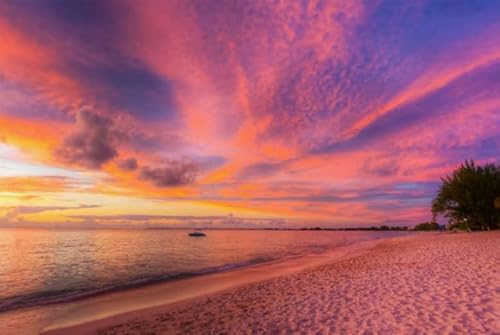 Puzzle 1500 Teile Sonnenuntergang am Strand Landschaften Poster Puzzle für Erwachsene Familiendekompressionsspiele57x87cm Puzzle 1500 Teile Sonnenuntergang am Strand Landschaften Poster Puzzle für Erwachsene Familiendekompressionsspiele57x87cm von HNBDE