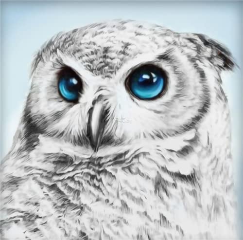 Puzzle Decompression Game for Adults and Children, Puzzle Poster of Owl, 26x38cmPi255 Puzzle Decompression Game for Adults and Children, Puzzle Poster of Owl, 26x38cmPi255 von HNBDE