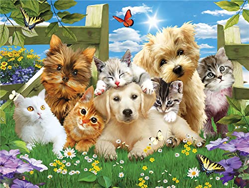 Puzzle Decompression Game for Adults and Children, Puzzle Posters of Animals, 57x87cmPi254 Puzzle Decompression Game for Adults and Children, Puzzle Posters of Animals, 57x87cmPi254 von HNBDE